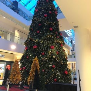 Meet your Posher, Nataliya